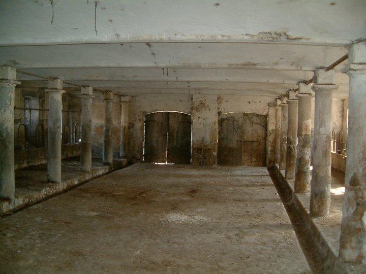 Corte Della Rocca Bassa Nogarole Rocca Buitenkant foto